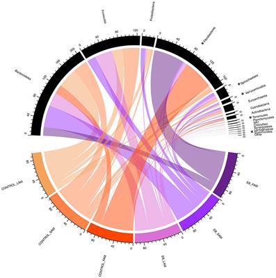 A Pine Enhanced Biochar Does Not Decrease Enteric CH4 Emissions, but Alters the Rumen Microbiota